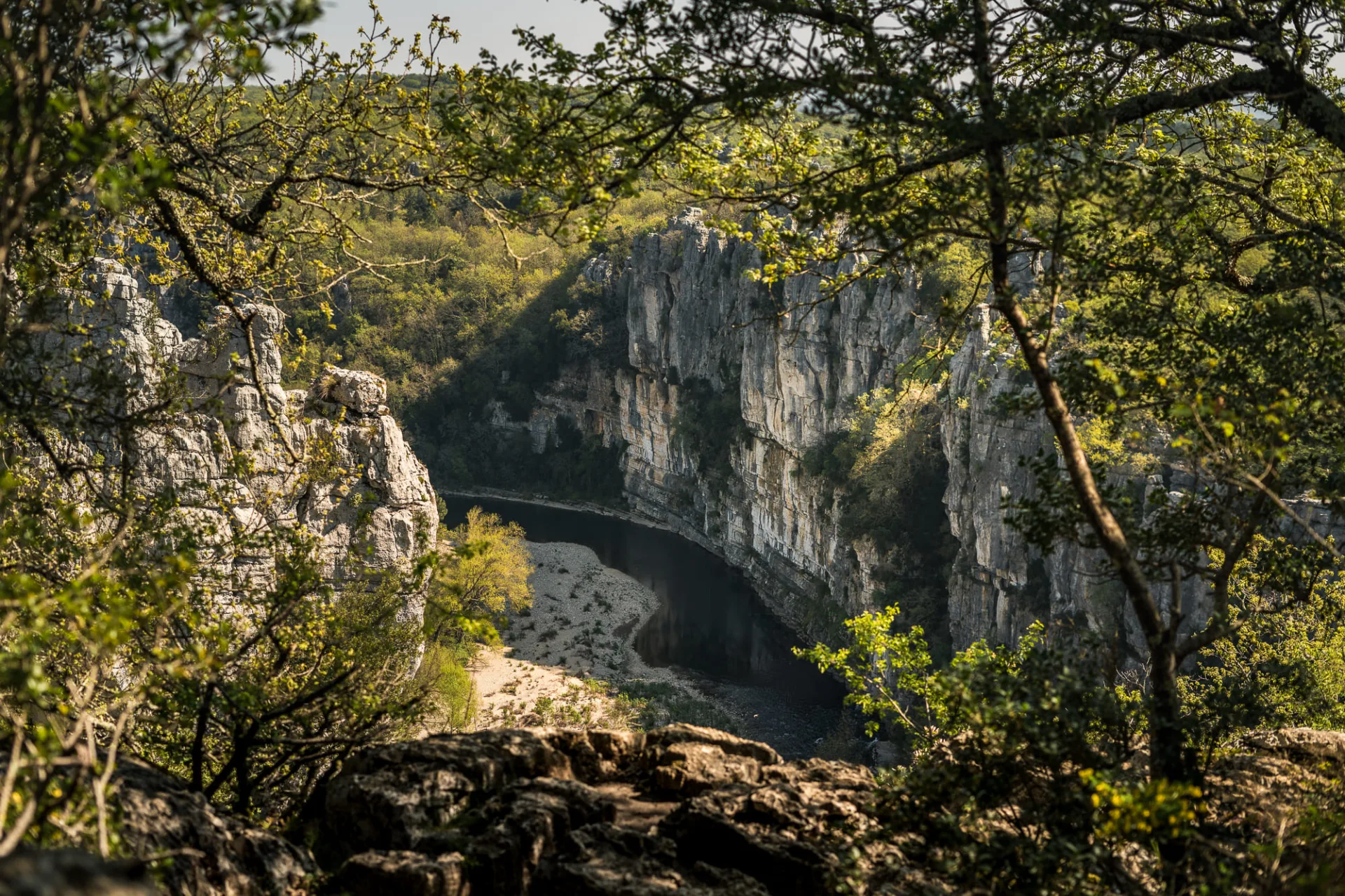 A la rencontre des chèvres