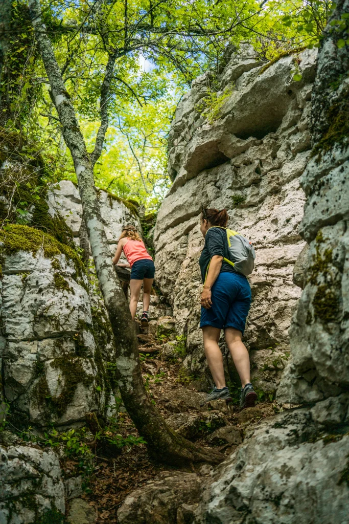 Grotte du Renard