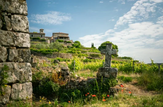 Le Chatus, vin de caractère