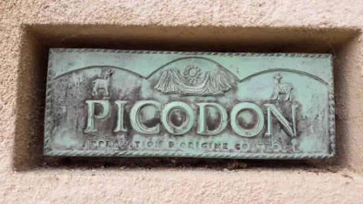 Le picodon, fromage de chèvre emblématique des Cévennes d’Ardèche