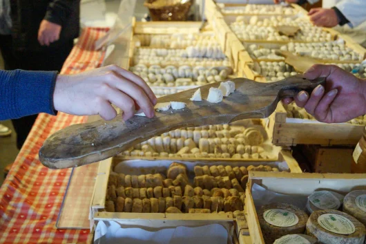 Le picodon, fromage de chèvre emblématique des Cévennes d’Ardèche