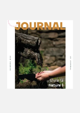 Journal 4