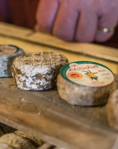 Le picodon, fromage de chèvre emblématique des Cévennes d’Ardèche