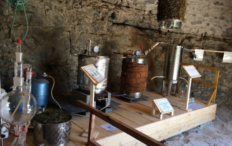 Distillerie du Bois de Païolive : Essential oils and more…_Banne