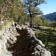 Sentier des Ferjasses – Valgorge