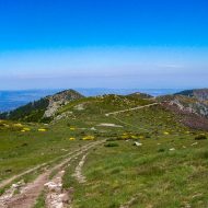 Itinéraire « Le sentier des Granges – Laboule »