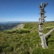 Trail Beaume Drobie vert