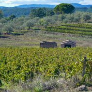 Itinéraire « Le Sentier des Vignes – Rosières »