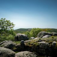 Itinéraire « Le Chaos de Montselgues »