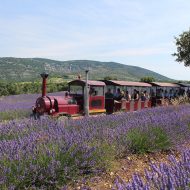 Maison de la Lavande Ardèche / Producteur-Distillateur & Musée