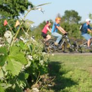 Randonnée en vélo/vtt électrique « Patrimoine & Terroir » – Ardèche vélo