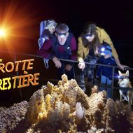 Grotte Forestière. « Visitez Autrement »