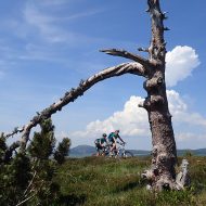 Trans’Ardèche 7 jours