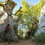 Sortie découverte du Bois de Païolive – Ardèche Vélo