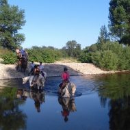 Cours, stages et compétitions au Centre équestre l’Hippocampe