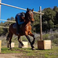 Equitation – Ferme équestre Le Foussac