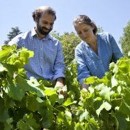 De ferme en ferme : visite du Château des Lèbres