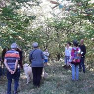 Bains de forêt – Benjamin Jouve