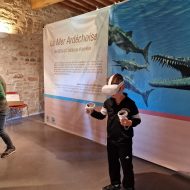 Exploration virtuelle : plongée dans les océans