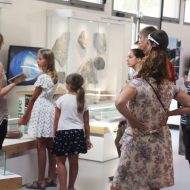 Visite guidée du Muséum de l’Ardèche