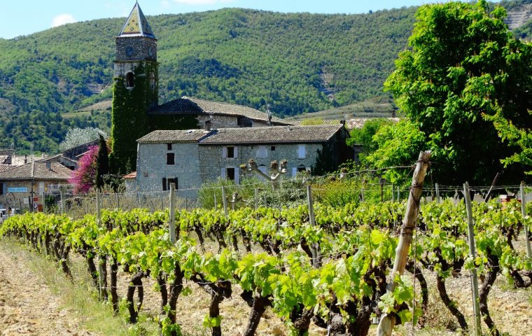 Visite guidée du village de Valvignères et dégustation