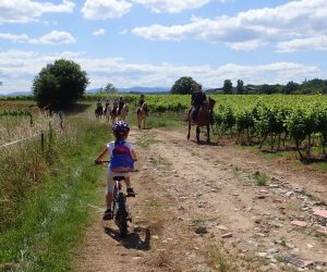 balade famille ardeche velo au bord du chassezac