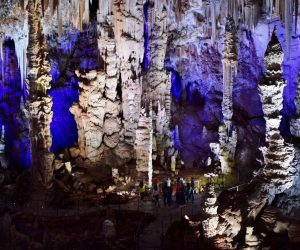 Visite guidée de la Grotte de la Salamandre