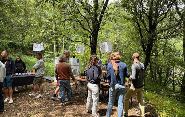 Quilles, Le festival des vins vivants_Chambonas