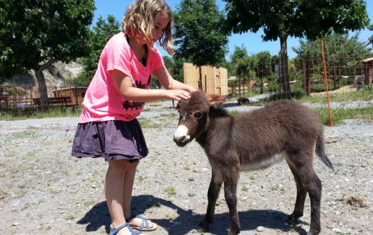 Parc animalier à Lussas