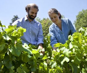 Saveurs de truffes et vins d’Ardèche au Château des Lèbres_Banne