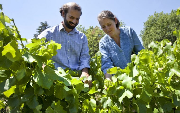 Saveurs de truffes et vins d’Ardèche au Château des Lèbres_Banne