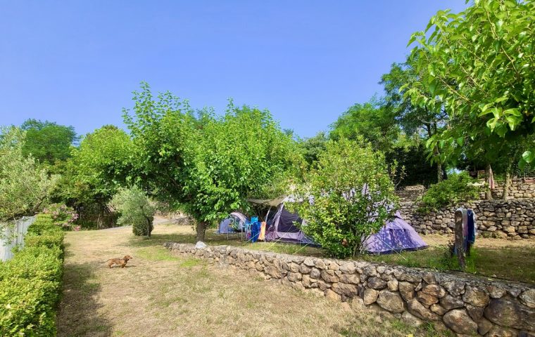 49 Camping du vignal familial sud ardeche emplacements vu1.jpeg