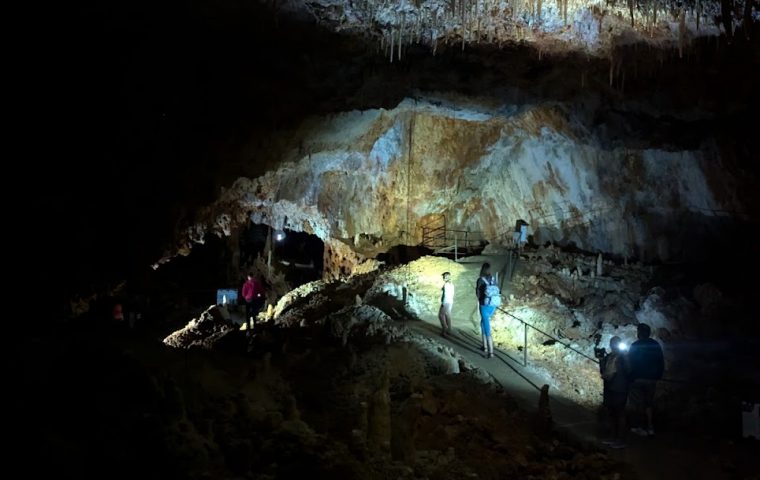 Grotte forestière vue en hauteur