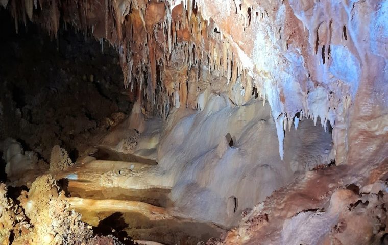 Grotte forestière petits gours