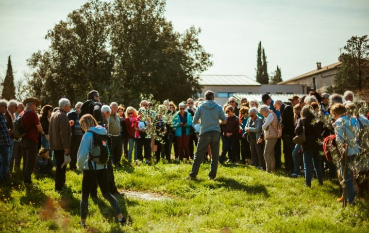 Fête du printemps 2024