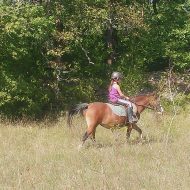 Promenade équestre à poney ou à cheval – Centre équestre Les Combes