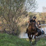 Centre equestre – Le Rouret