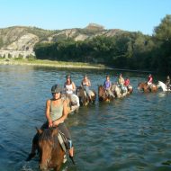 Ferme Equestre – Equitation Chavetourte